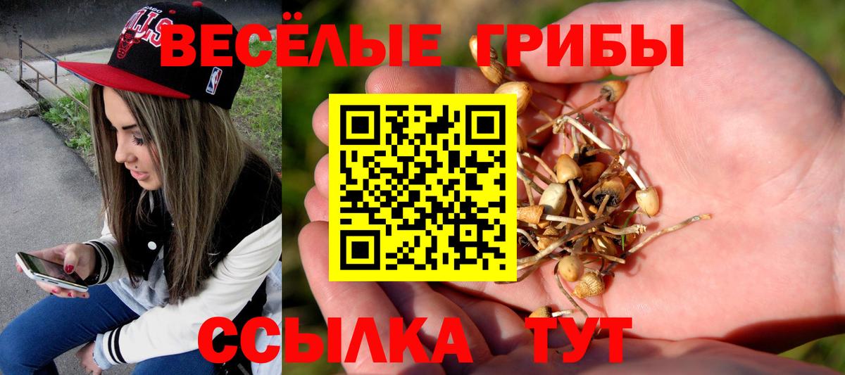 Керчь  Псилоцибиновые грибы мухоморы  Вход с VPN 